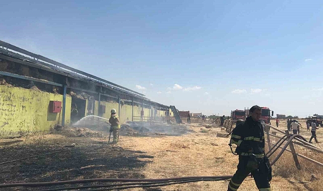 Çiftlikte çıkan yangına müdahale devam ediyor
