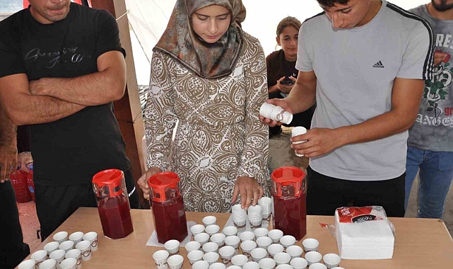 Dağlardan toplanan şifa kaynağı sumak ailelere geçim kaynağı oluyor