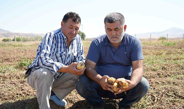 Hasat dönemi başladı: Çiftçiler, bin liranın üzerinde yevmiyeyle çalıştıracak işçi bulamakta zorlanıyor