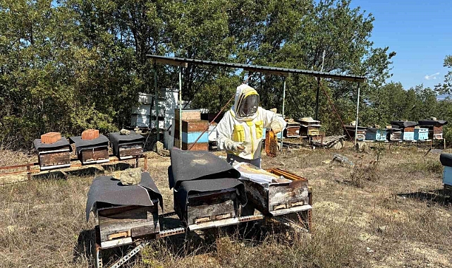 Hobi olarak başladı, kilosu 400 TL’den 500 kilo bal üretiyor