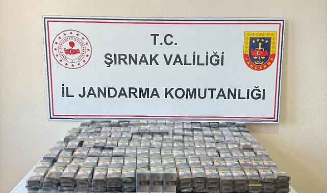 Jandarma’dan kaçakçılık operasyonu: 26 gözaltı