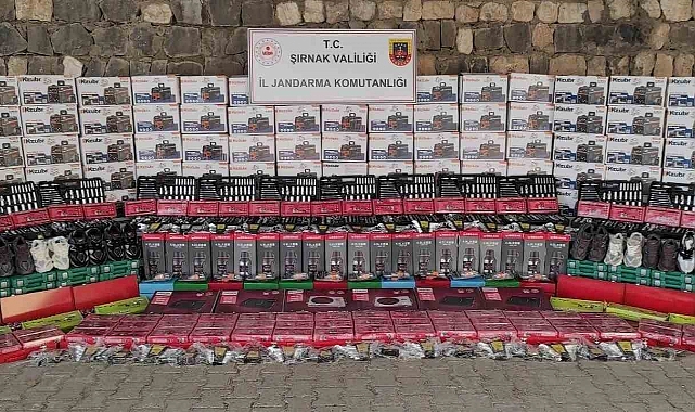 Kaçakçılık operasyonu: 20 gözaltı