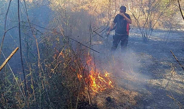 Ormanlık alanda çıkan yangın devam ediyor
