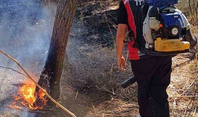 Ormanlık alanda çıkan yangın söndürüldü