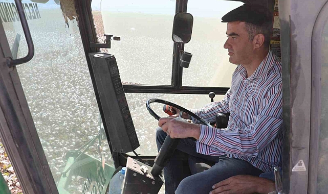 Pamuk hasadı başladı