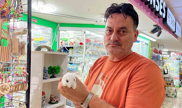 Pet shop’lardan alınan hayvanlar geri getiriliyor