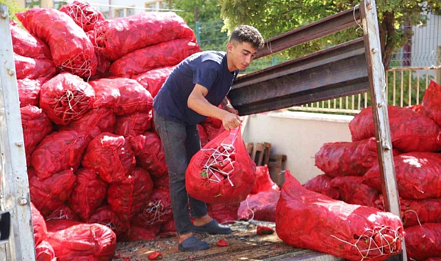 Salça mesaisi başladı