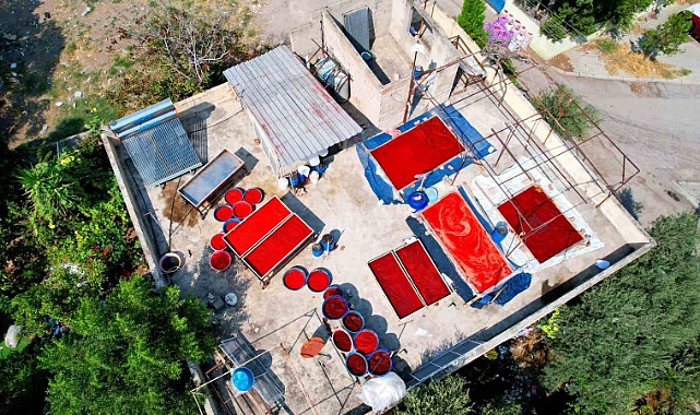 Salça sezonu başladı, damlar kızardı