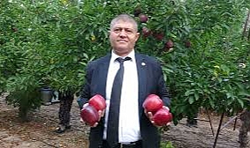 Türkiye’nin elma bahçesi Isparta’da hasat başladı