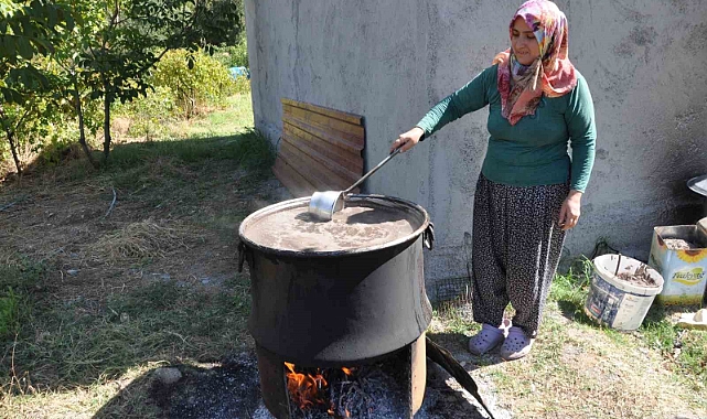Üzümün pekmeze yolculuğu başladı