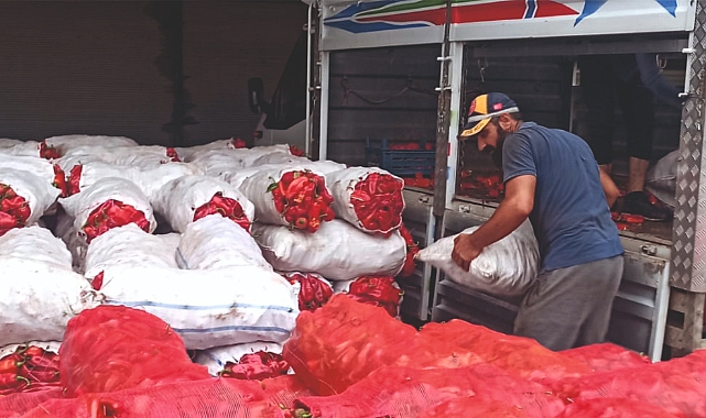 Yağışlar gitti, Urfa isotu yeniden yükselişe geçti