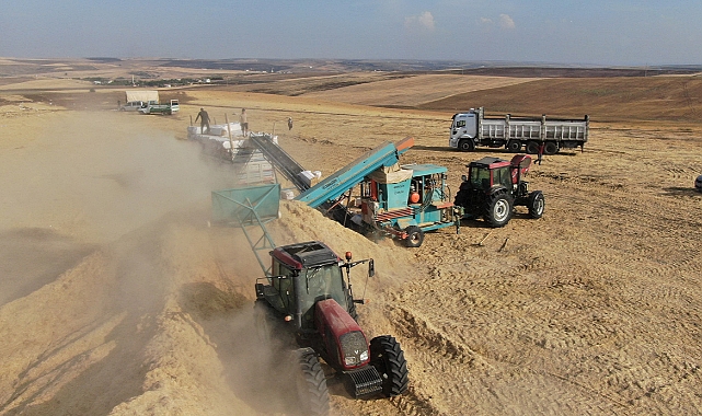 12 saat çalışıp günlük 3 bin liraya saman presliyorlar