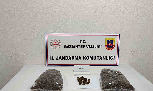 5 kilo skunk ele geçirildi: 1 şahıs tutuklandı