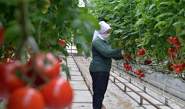 Anadolu coğrafyasının "Beyaz Altın"ı; Jeotermal