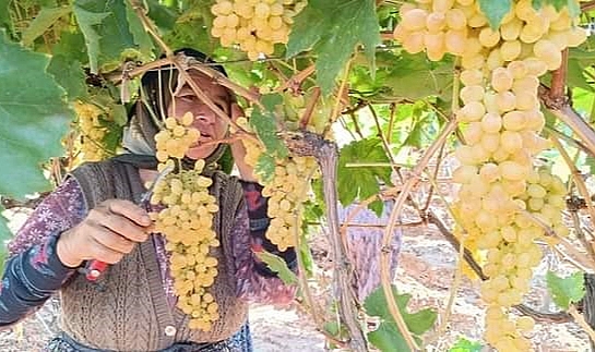 Anne olmaya engel olan ‘tüp tıkanıklığı’ tedavi edilebiliyor