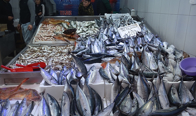 Balıkçı tezgahları şenlendi: 1,3 kiloluk palamutlar 100 lira
