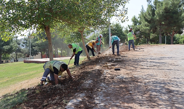 BÜYÜKŞEHİR BELEDİYESİ'NDEN YEŞİL ALANLARA BAKIM SEFERBERLİĞİ