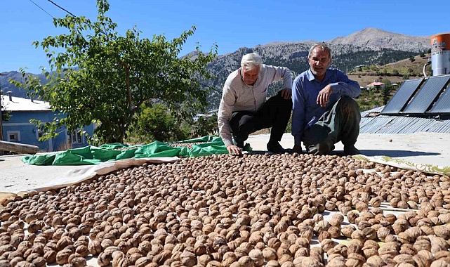 Cevizi tescil yolunda