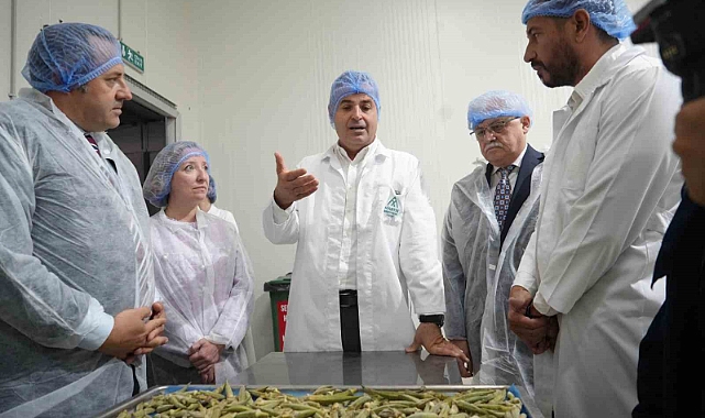 Cips yapıp 15 kat değer kattılar...Amerika pazarına gönderdiler