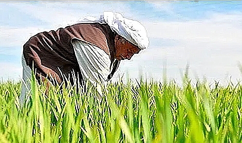 Son fark desteği hesaplara yatıyor