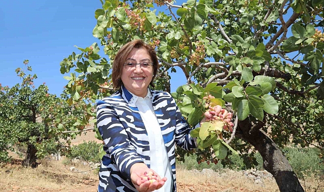 Dünyanın en iyi kuruyemişleri listesinde Antep fıstığı ikinci sırada