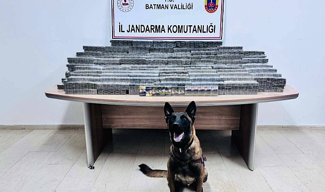 Durdurulan araçta gümrük kaçağı sigara ele geçiridi