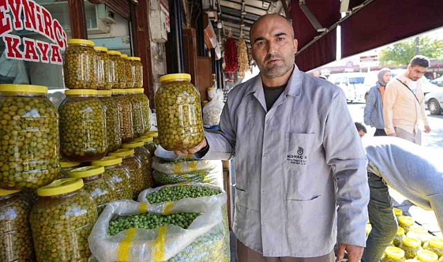 Eşil zeytinler tezgaha indi