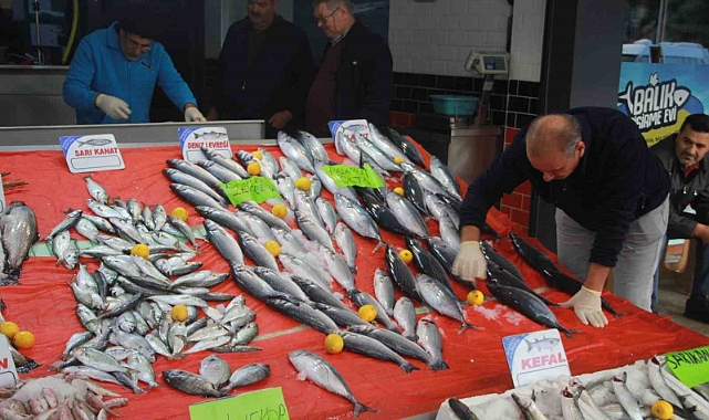 Hava şartları balık fiyatlarını etkiledi