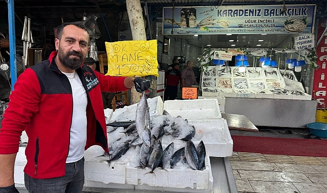Havaların serinlemesiyle balık satışları arttı