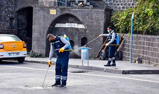 İlaçlama çalışmaları sürüyor