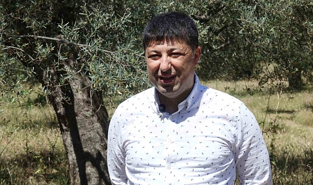 İşte sahte zeytinyağını anlamanın püf noktaları