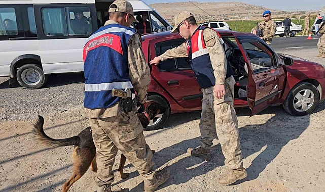 Jandarma denetiminde 8 asker kaçağı tespit edildi