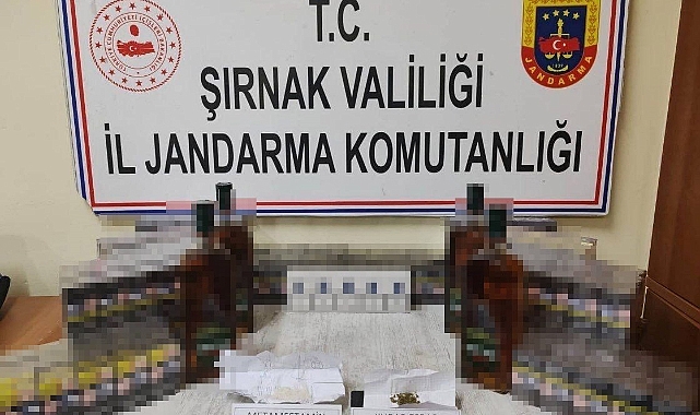 Jandarma ekiplerinden kaçakçılara operasyon: 28 kişi hakkında işlem yapıldı