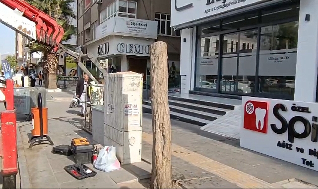 Kaldırımdaki ağaçlar izinsiz kesildi