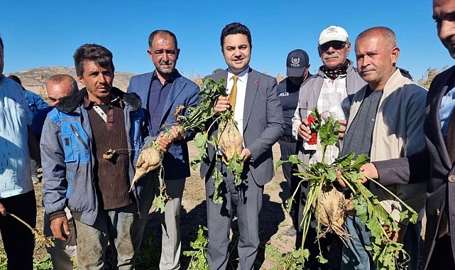 Kaymakam Seyhan, şeker pancarı hasadına katıldı