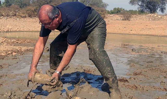 Kuruyan gölette balık kurtarma operasyonu