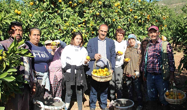 Mandalinanın ihracat yolculuğu 18 Ekim’de başlıyor