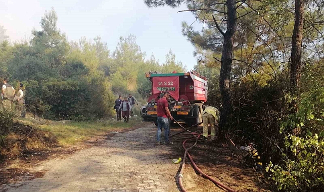 Orman yangını başladı