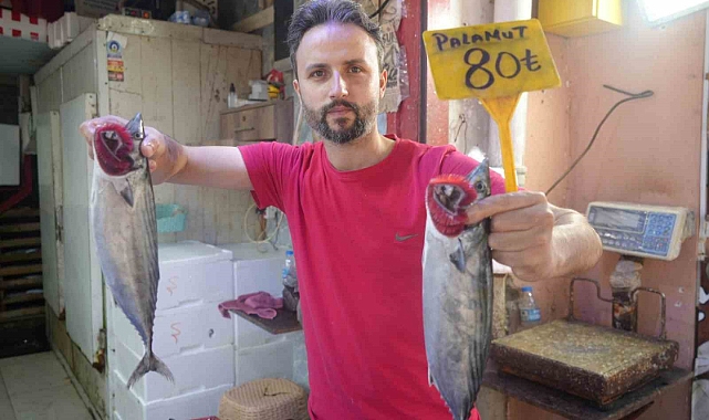 Palamudun tanesi 150 TL’den 80 TL’ye düştü