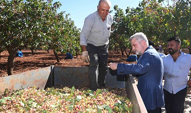 Pazarcık fıstığının tescil süreci başladı