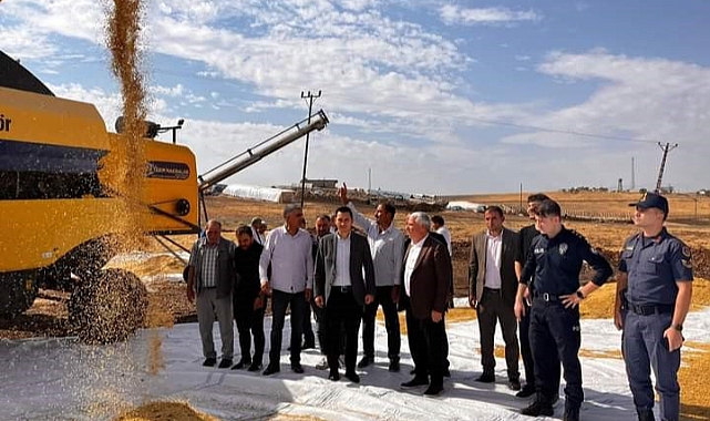 Pirinc hasadı başladı