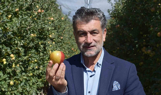 Sarı kırmızı elma görenleri şaşırtıyor
