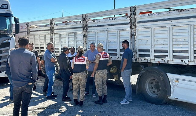 Sevk belgesi olmayan 384 adet hayvan kontrole takıldı
