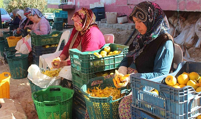 Şifa kaynağı cennet hurmasına talep artıyor