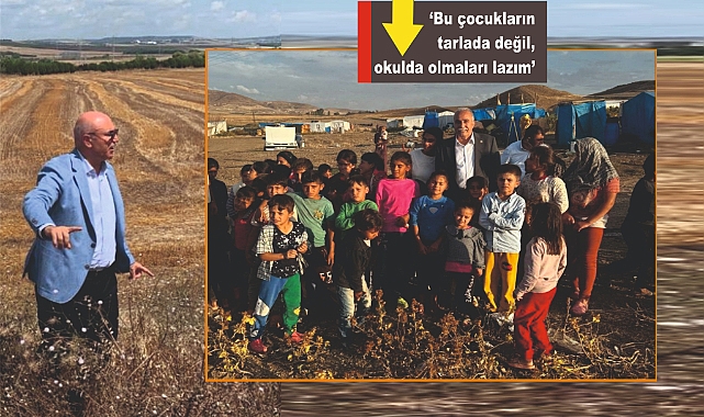 Tanal, Fakıbaba'yı samimi bulmadı