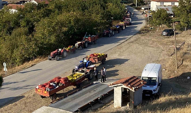 Taze ceviz toptan 25 liraya satılıyor