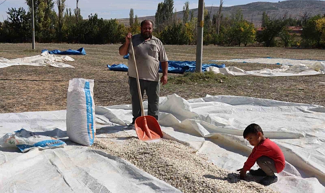 Tüccarın fırsatçılığı çiftçiyi mağdur ediyor