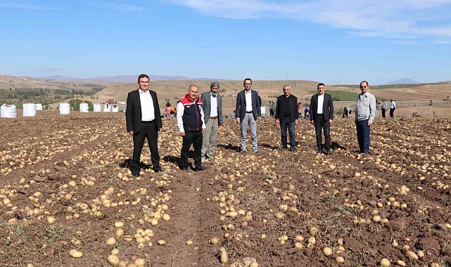 Türkiye’nin en lezzetli patatesleri bu topraklarda yetişiyor