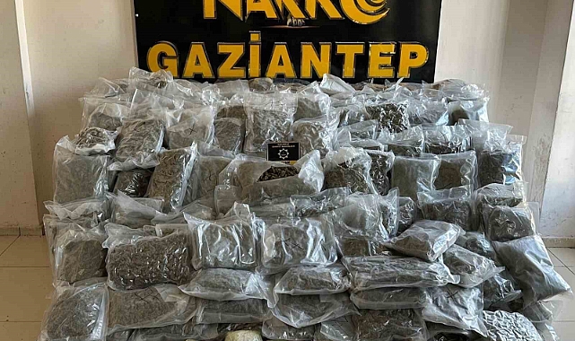 104 kilo skunk ele geçirildi