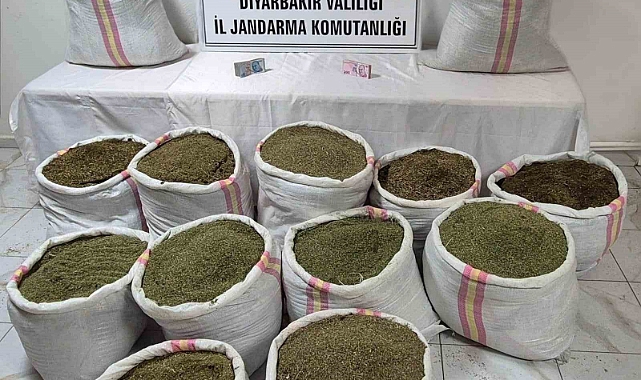 320 kilo toz esrar ele geçirildi